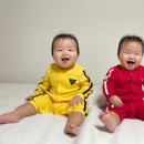 천성약국 이미지