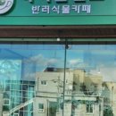 하이플랜츠