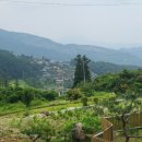 양평알찬공인중개사사무소 이미지