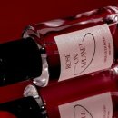 로즈플래닛 이미지