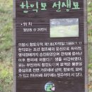 한익모선생 묘 이미지