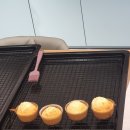 리틀아울렛