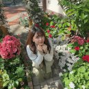 아오이(aoi)
