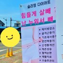셀포랩비채뷰티