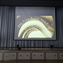 금곡초등학교 | "학교로 찾아가는 샌드아트" 부산 금곡초등학교 샌드아트공연
