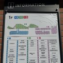 주말 구리 남양주 아이와 가볼만한 곳, 갈매 수풀림 아쿠아카페 이색 데이트 상어카페