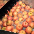 삼성농원 이미지