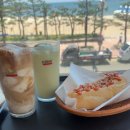카페콩투어 | 광안리카페맛집[콩카페 광안점]후기