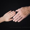 호전카센타 이미지