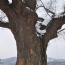 옥화리 이미지