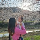 김환태내과의원 | [주간일기] 3월 5째주일기 _ 3월의 눈 꽃송이가 피었네!