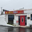 월스낵 | 월정리 김밥 월스낵 톳김밥 내돈내산 후기