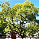 구천서당 이미지