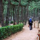 바우길 13구간 이미지