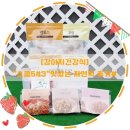 [강아지화식]&#34;스쿱543&#34;맛있는 건강식,특별식 후기#