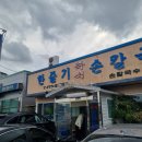 한줄기손칼국수