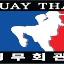 영무 체육관 이미지