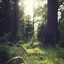 대화스크린골프 이미지