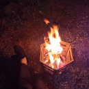 내를 건너서 숲으로 캠핑장 이미지