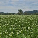 낙동강체육공원 자전거대여소 이미지