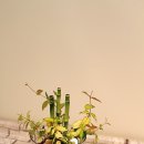 수경꽃집 이미지