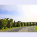 곡성-003 이미지