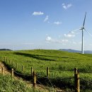 삼양 태양광발전소 이미지