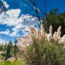 오늘도 맑개 이미지