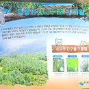 숲184차 지리산 정령치 마을숲 실상사 이미지
