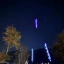 포시즌캠핑장 | [청주 옥화포시즌캠핑장]반려견과 함께 밤하늘 별빛 아래 힐링캠핑