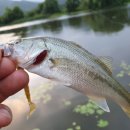 팔당수난구조대 이미지