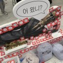 이루스토어 | 용산 아이파크몰 <불교팝업>후기 /🐴하는 대로 이루얼🧞‍♂️