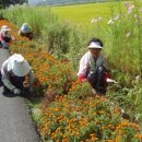 학림경로당 이미지