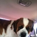 동울산동물병원 이미지