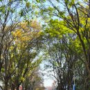 초당대학교 이미지