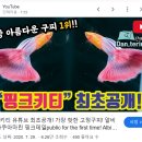 서울팀아쿠아수족관