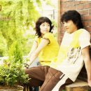 옥탑방 고양이 이미지