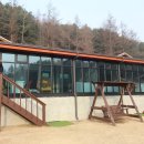 자연과힐링 이미지