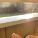 연세이음정형외과의원 이미지