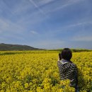 머무르다 이미지