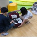 종합카시트 이미지