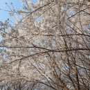 써머스학원 이미지