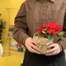 봄앤봄 플라워 카페 이미지