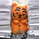 [취업 면접] 서류부터 최종면접까지, 취업 면접의 모든 것 | 그리고 너무 매웠던 취업 준비 # 회사는 전쟁터, 밖은...면접, 불합격 또 불합격 끝에 받은 최종 합격...