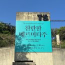 춤과 춤으로 만나다 | [전시] 찬란한 에르미타주 전시 관람후기ㅣ서울에서 3대 박물관을 만나다ㅣ전시 총정리(전시 내용·티켓...
