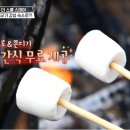 더스테이펜션 투 네이버블로그