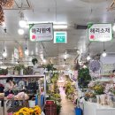 회현농협 | 남대문꽃시장 후기 영업시간 9월 회현역 위치