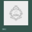 멈미스 | 반려동물분양 추천 멈미스 미니비숑 고급분양
