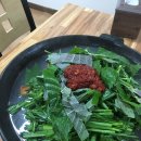 동해닭갈비 | 동해 동해닭갈비 물닭갈비 내돈내산 추천