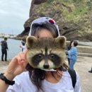 나나리고속관광㈜ | 울릉도-독도 여행기